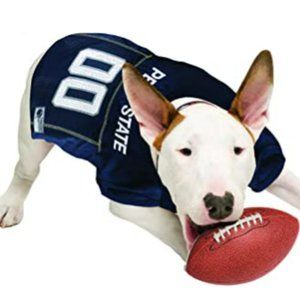 Penn State Pet Football Jersey